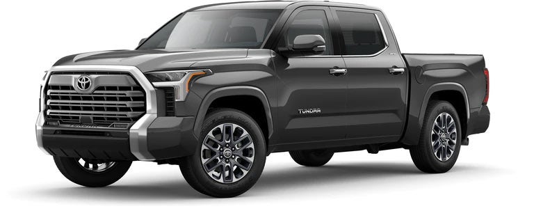 2022 Toyota Tundra Limited in Magnetic Gray Metallic | Marianna Toyota in MARIANNA FL