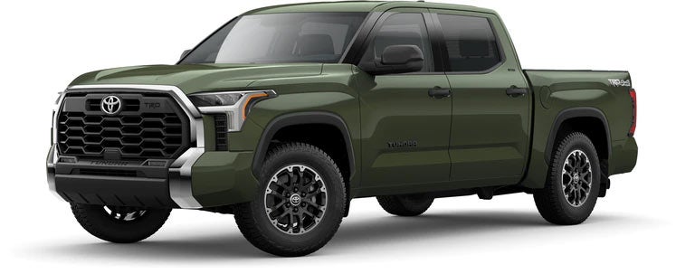 2022 Toyota Tundra SR5 in Army Green | Marianna Toyota in MARIANNA FL
