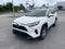 2024 Toyota RAV4 Hybrid Hybrid XLE